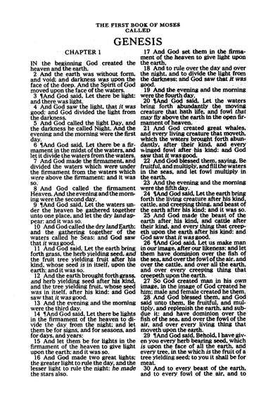 KJV Seaside Bible, Hardcover with zipper - Image 3