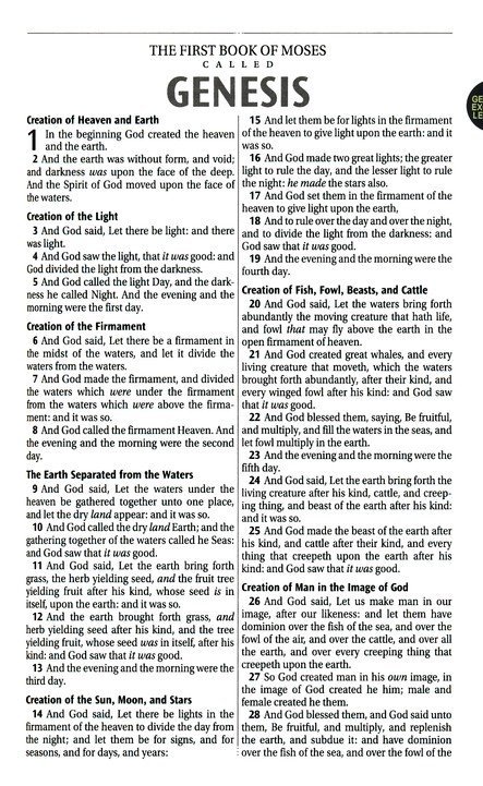 KJV Gift Bible, Deluxe--soft leather-look, floral print with zipper - Image 3