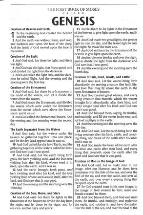 KJV Pocket Bible--soft leather-look, pink/brown with zipper - Image 3