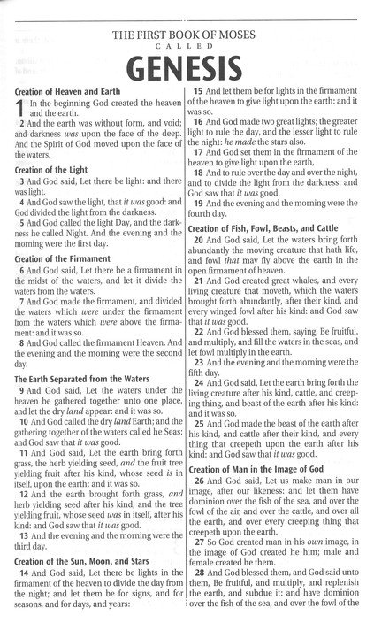 KJV Deluxe Gift Bible--soft leather-look, printed blue floral with zipper - Image 3